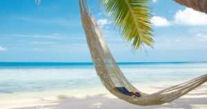 Aktivist Elliott steigt mit 10 % bei NORWEGIAN ein