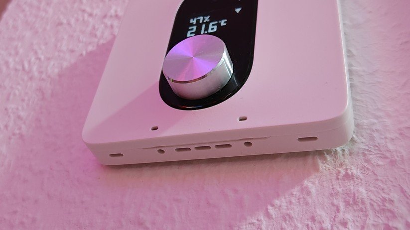 Shelly Linkedgo ST1820