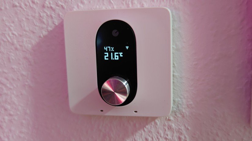 Shelly Linkedgo ST1820