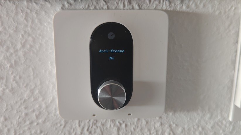 Shelly Linkedgo ST1820