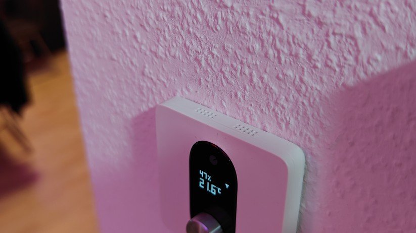 Shelly Linkedgo ST1820