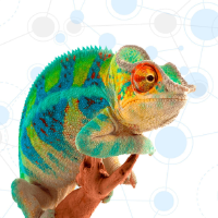 Akara Swiss Diversity Property Fund PK knackt 3-Milliarden-Marke und feiert 10-jähriges Jubiläum mit starker Performance Akara Swiss Diversity Property Fund PK knackt 3-Milliarden-Marke und feiert 10-jähriges Jubiläum mit starker Performance