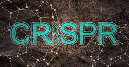 CRISPR – Weshalb Montag zum „Validation Day“ für die Gen-Schere wird