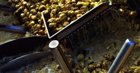 SÜDZUCKER – Kaum Reaktion auf Zahlen und geplante Zuckerabgabe