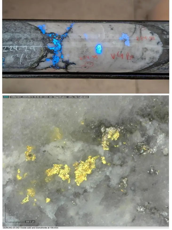 Wolfram-Mineralisierung und sichtbares Gold in einem Rhosgobel Bohrkern von Sitka Gold