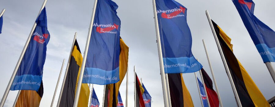 Flaggen der Alternative für Deutschland (AfD).