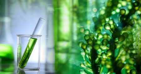 BRAIN BIOTECH – Rallyauftakt oder Strohfeuer?