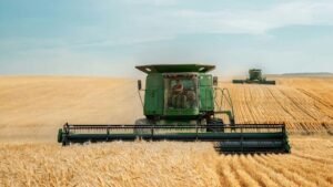 ROUNDUP/Agrarhandels-Experten: Vorerst kein Preissprung im Supermarkt