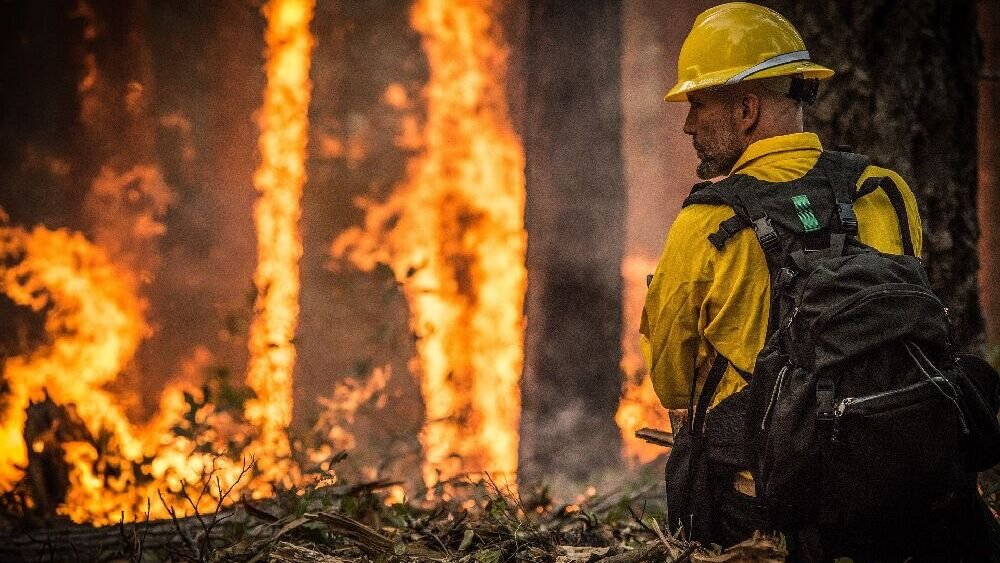 Schneider: Waldbrände mahnen zu ‚Vorfahrt‘ für Klimaschutz Schneider: Waldbrände mahnen zu ‚Vorfahrt‘ für Klimaschutz