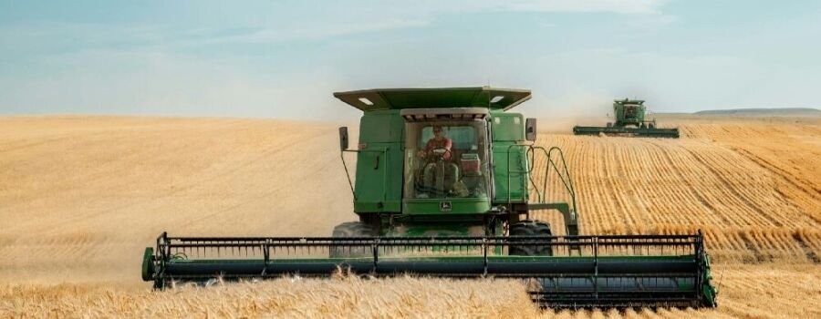 Eine Landmaschine auf einem Kornfeld (Symbolbild).