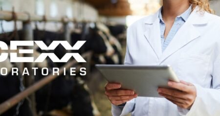 IDEXX LABORATORIES – Bodenbildung nach Zahlen