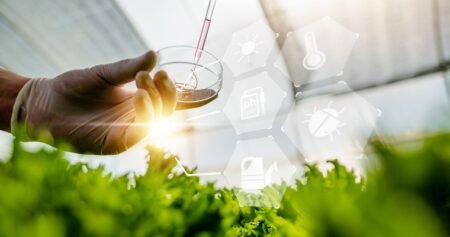 DEFINIUM – Erneut positive Daten! Psychedelika-Aktie schießt weiter nach oben DEFINIUM – Erneut positive Daten! Psychedelika-Aktie schießt weiter nach oben