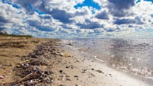 Mehr Fahrten durch das Rote Meer – Lage bleibt angespannt Mehr Fahrten durch das Rote Meer – Lage bleibt angespannt