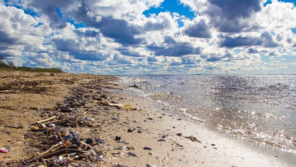 Mehr Fahrten durch das Rote Meer – Lage bleibt angespannt Mehr Fahrten durch das Rote Meer – Lage bleibt angespannt