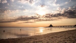 /ROUNDUP: Blaualgen an Ostsee und Seen – Warnung für Badende /ROUNDUP: Blaualgen an Ostsee und Seen – Warnung für Badende