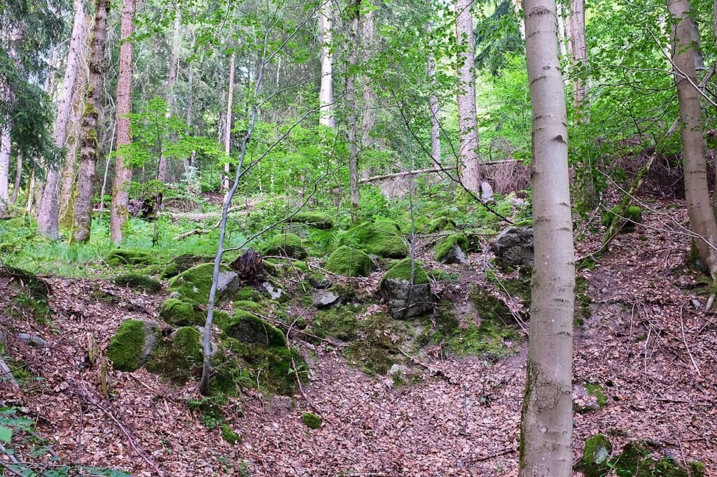 Gold erlebt eine der seltensten Wochen seit 2005